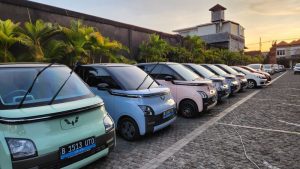 Penyewaan Kendaraan Elektrik - Peluang Bisnis Transportasi