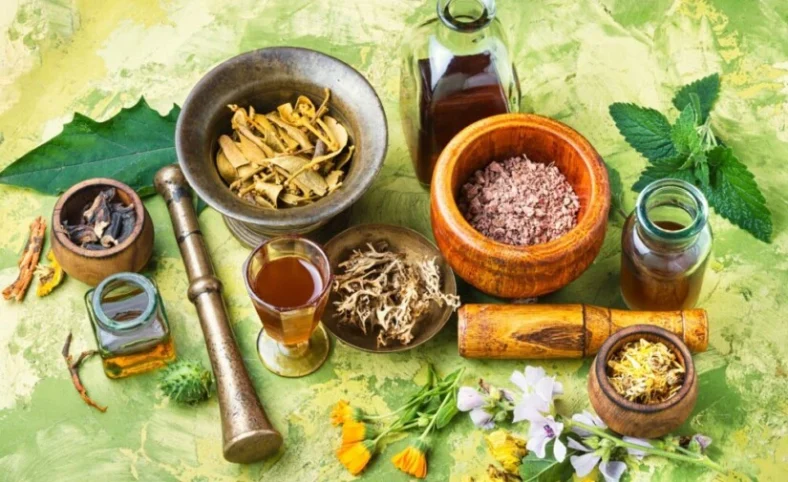 Peluang Usaha Tanaman Obat Herbal